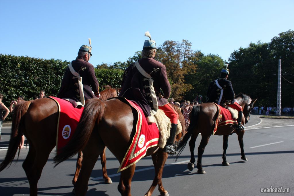 Carnavalul Florilor, Debrecen | 4